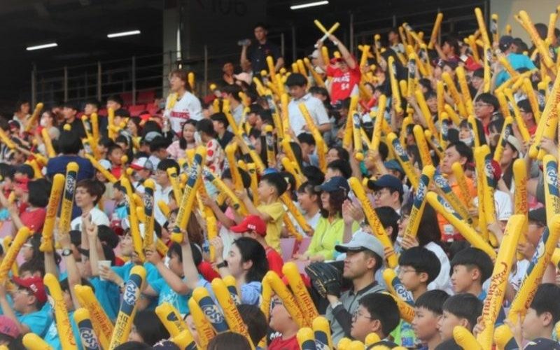 Baseball fan or stadium crowd image